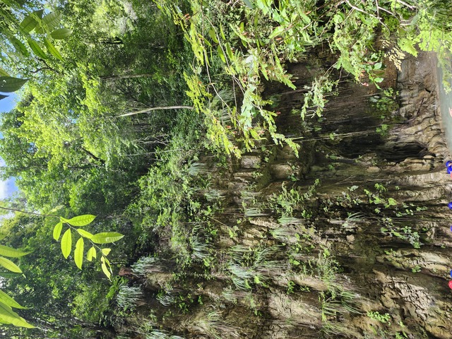 Amber Cove Tropical Forest Trek and Natural Pool Swimming Excursion Great excursion! Good slower paced option. 