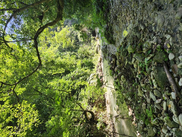 Amber Cove Tropical Forest Trek and Natural Pool Swimming Excursion Great excursion! Good slower paced option. 