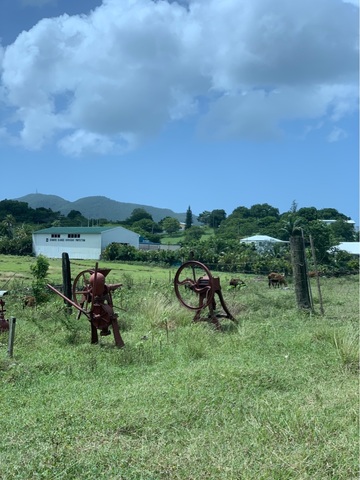 Antigua Traditional House, Pineapple Farm, Fryes Estate, Beach Break and Lunch Excursion  amazing time!