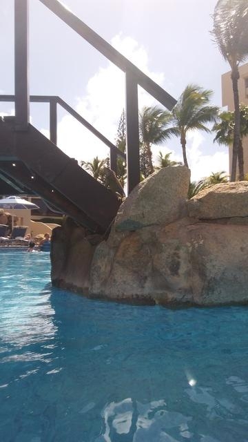Aruba Barcelo Beach Resort All Inclusive Day Pass Iguanas Everywhere!!