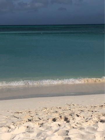 Aruba Barcelo Beach Resort All Inclusive Day Pass Best Inclusive