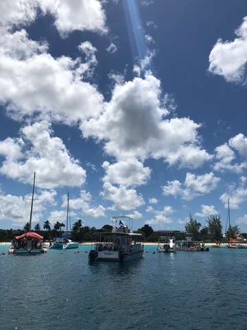 Barbados Catamaran Sail, Sea Turtle, Shipwreck and Tropical Fish Snorkel Excursion Amazing Time with El Tigre Catamaran