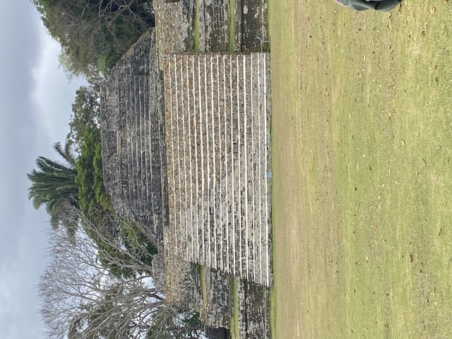 Belize City and Altun Ha Mayan Ruins Sightseeing Excursion with Lunch Would book again