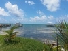 Belize Coral Gardens and Shark Ray Alley Snorkel Adventure Excursion Amazing time