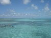 Belize Coral Gardens and Shark Ray Alley Snorkel Adventure Excursion Amazing time