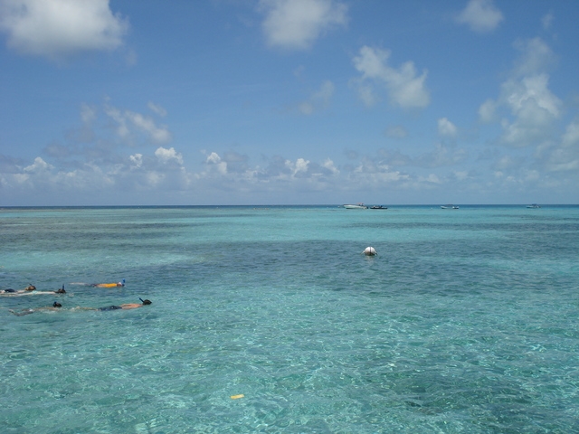 Belize Coral Gardens and Shark Ray Alley Snorkel Adventure Excursion Amazing time