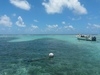 Belize Coral Gardens and Shark Ray Alley Snorkel Adventure Excursion Amazing time