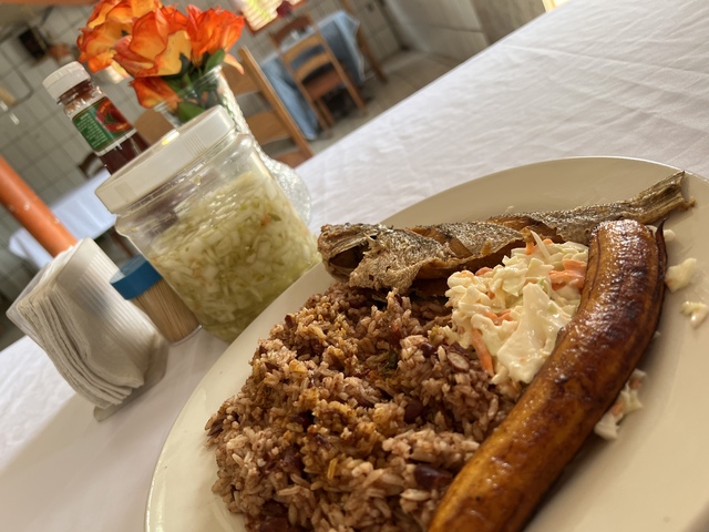 Belize Food Tasting, Rum and Sightseeing Bus Excursion Authentic Belizean Experience!