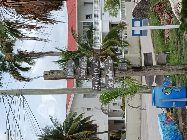 Belize Food Tasting, Rum Factory, and Sightseeing Excursion Had An Amazing Time with Jefferson!