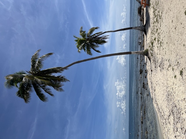 Belize Goff's Caye Island Beach Getaway and Snorkel Excursion Goff’s Caye: A Hidden Gem of Belize