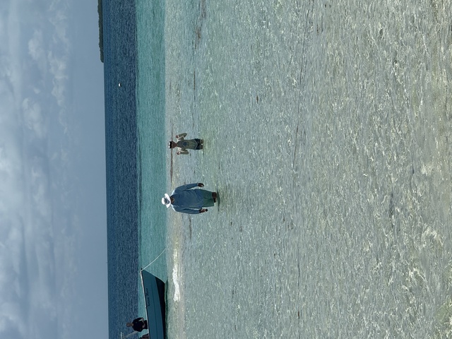 Belize Goff's Caye Island Beach Getaway and Snorkel Excursion Love!