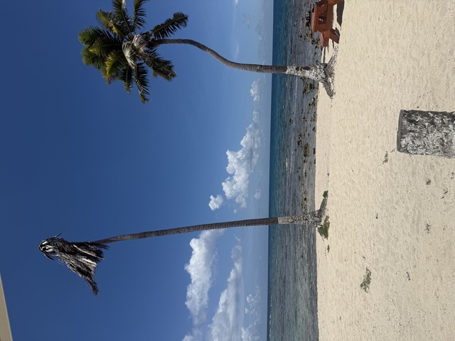 Belize Goff's Caye Island Beach Getaway and Snorkel Excursion Love!