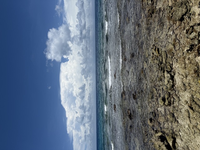 Belize Goff's Caye Island Beach Getaway and Snorkel Excursion Love!
