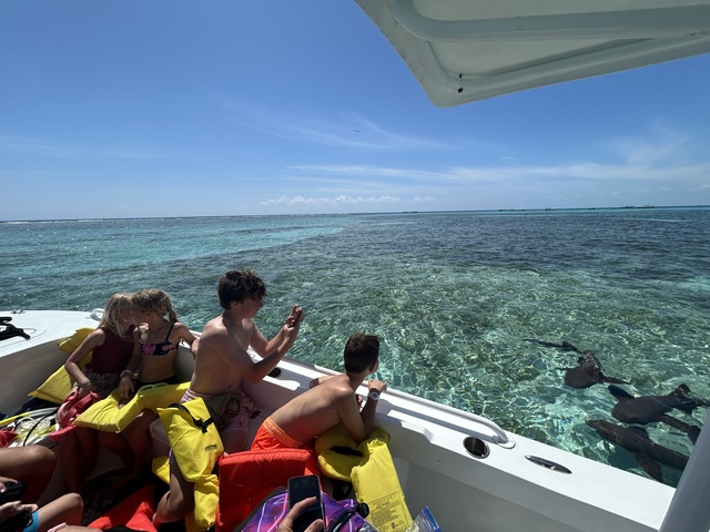 Belize Hol Chan Marine Reserve & Shark Ray Alley Snorkel Excursion Adventure with Caye Caulker Island Beach Break The absolute BEST!!!