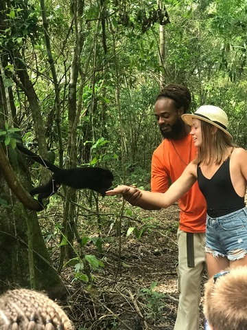 Belize Howler Monkey Jungle Sanctuary and Sightseeing Excursion amazing excursion 