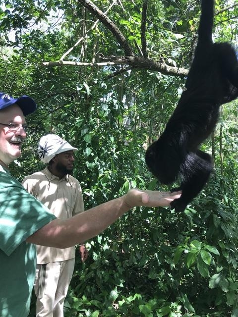 Belize Howler Monkey Jungle Sanctuary and Sightseeing Excursion Loved it! 