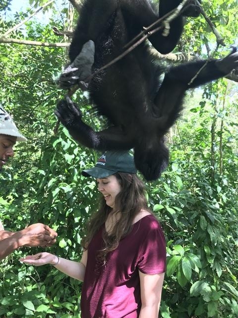 Belize Howler Monkey Jungle Sanctuary and Sightseeing Excursion Loved it! 