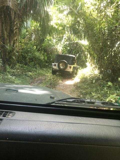 Belize Jeep, Zoo and Tropical Education Center Excursion Driving through jungles was a blast