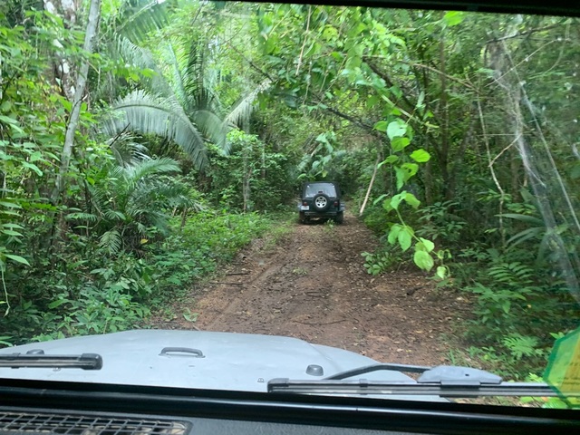 Belize Jungle Jeep Safari Adventure Excursion with Lunch Best possible, personal experience