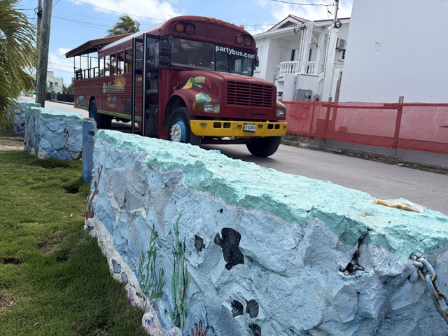 Belize Party Bus and Sightseeing Fun Excursion Fun times