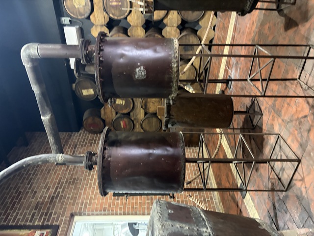 Belize Party Bus and Sightseeing Fun Excursion Fun times