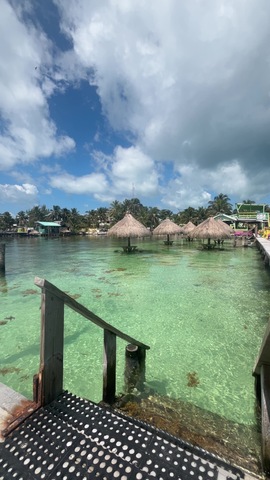 Belize Private Group Hol Chan Marine Park & Shark Ray Alley Snorkel, and Caye Caulker Island Beach Excursion This was the best excursion!!