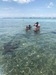 Belize Private Group Hol Chan Marine Park & Shark Ray Alley Snorkel, and Caye Caulker Island Beach Excursion Most amazing day!!