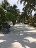 Belize Private Group Hol Chan Marine Park & Shark Ray Alley Snorkel, and Caye Caulker Island Beach Excursion Most amazing day!!