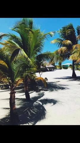 Belize Private Island Shaka Caye Beach Resort Day Pass Excursion Perfect!