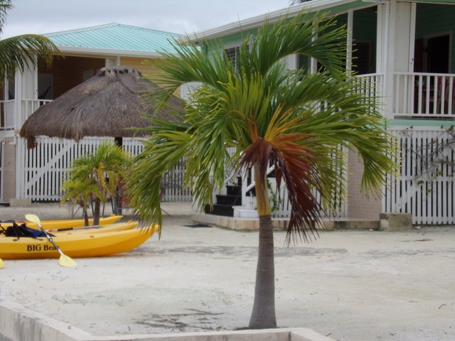 Belize Private Island Shaka Caye Beach Resort Day Pass Excursion Wonderful Time!
