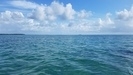 Belize Shark Ray Alley and Hol Chan Marine Reserve Snorkel Excursion Best Day Ever!