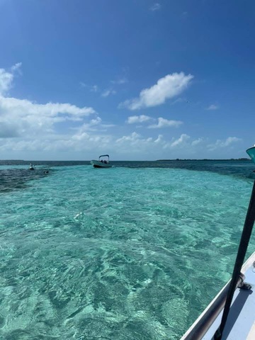 Belize Shark Ray Alley, Coral Gardens Snorkel, and Caye Caulker Island Beach Excursion I would give more than 5 stars if possible!