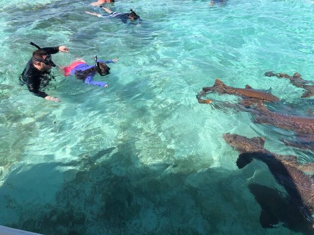 Belize Shark Ray Alley, Coral Gardens Snorkel, and Caye Caulker Island Beach Excursion Best Excursion Ever!