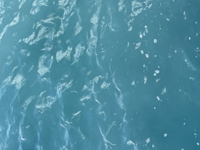Belize Shark Ray Alley, Coral Gardens Snorkel, and Caye Caulker Island Beach Excursion Amazing Excursion