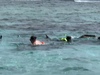 Belize Shark Ray Alley, Coral Gardens Snorkel, and Caye Caulker Island Beach Excursion Real deal!
