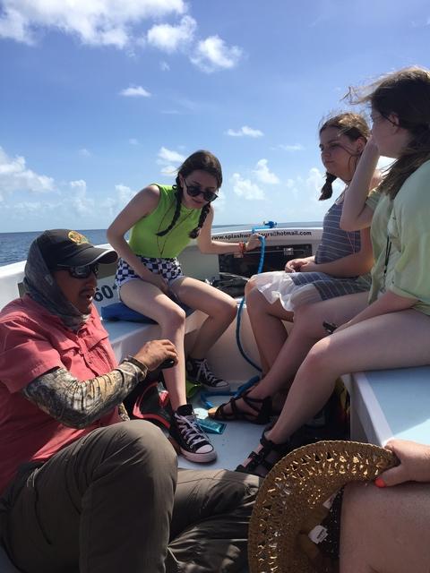 Belize Snorkel Hol Chan, Shark Ray and Caye Caulker Beach Break Excursion Best excursion ever 