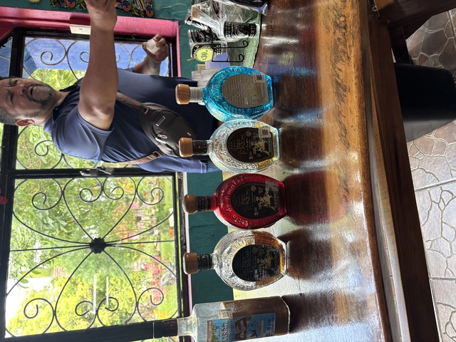 Best of Cozumel Island Highlights Excursion Beyond my expectations!!!!