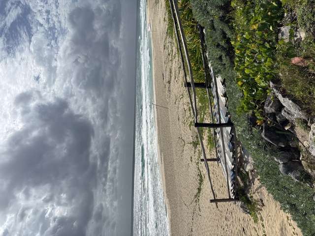 Best of Cozumel Island Highlights Excursion Beyond my expectations!!!!