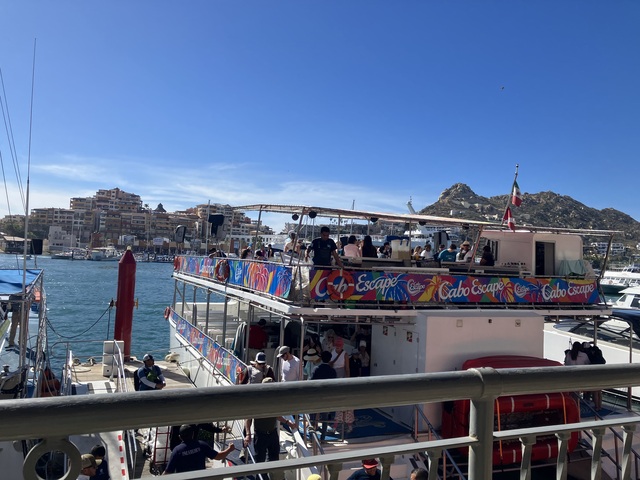 Cabo San Lucas Whale Watching Excursion with Breakfast and Open Bar Fun time, great food and crew, amazing whales!