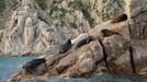 Cabo San Lucas World Famous Land's End Rock Formation Sightseeing Excursion by Boat WOW!  Could not have asked for a better tour!