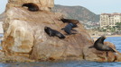 Cabo San Lucas World Famous Land's End Rock Formation Sightseeing Excursion by Boat WOW!  Could not have asked for a better tour!