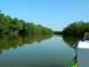 Cartagena Private Native Fishing and Cooking Excursion Awesome!
