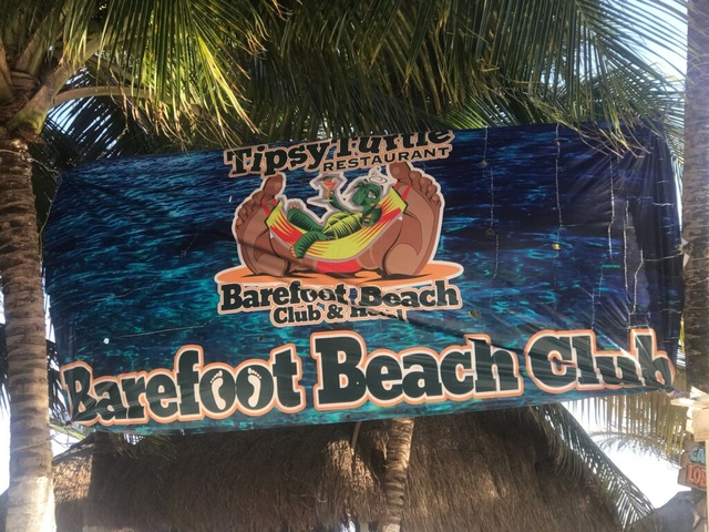 Costa Maya All Inclusive Barefoot Beach Club Day Pass Great time, nice beach and great food. 
