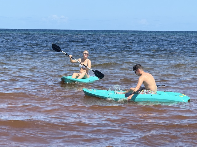 Costa Maya Hayhu Beach Club Deluxe Private Group Day Pass Excursion Fantastic service!!!