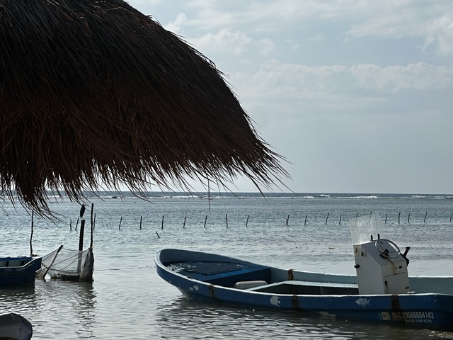 Costa Maya YaYa Beach Club Day Pass: Platinum, Deluxe & Standard Great Day