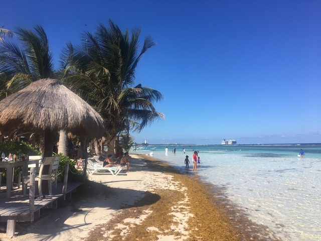 Costa Maya YaYa Beach Club Day Pass: Platinum, Deluxe & Standard Perfect day with many options