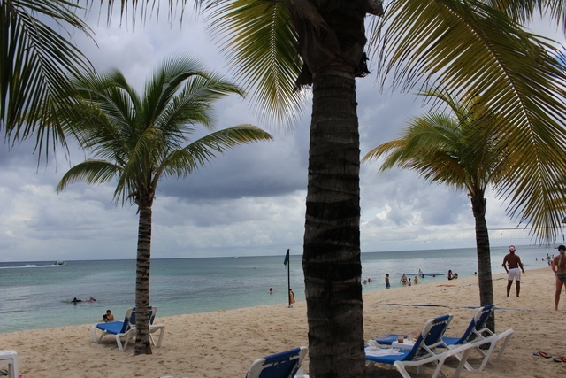 Cozumel Allegro Beach Resort All Inclusive Day Pass Drinks & Beach Great!