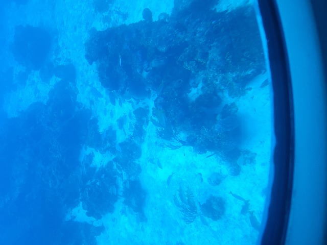 Cozumel Atlantis Submarine Excursion Experience Very clean and professional