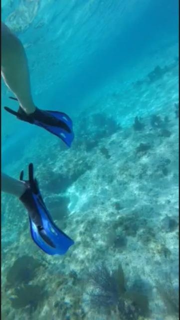 Cozumel Chankanaab Beach Park Snorkel and All Inclusive Day Pass Excursion Absolutely LOVED Chankanaab in Cozumel!!!