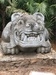 Cozumel Chankanaab National Marine Beach Park All-Inclusive Day Pass and Snorkel Excursion great excursion